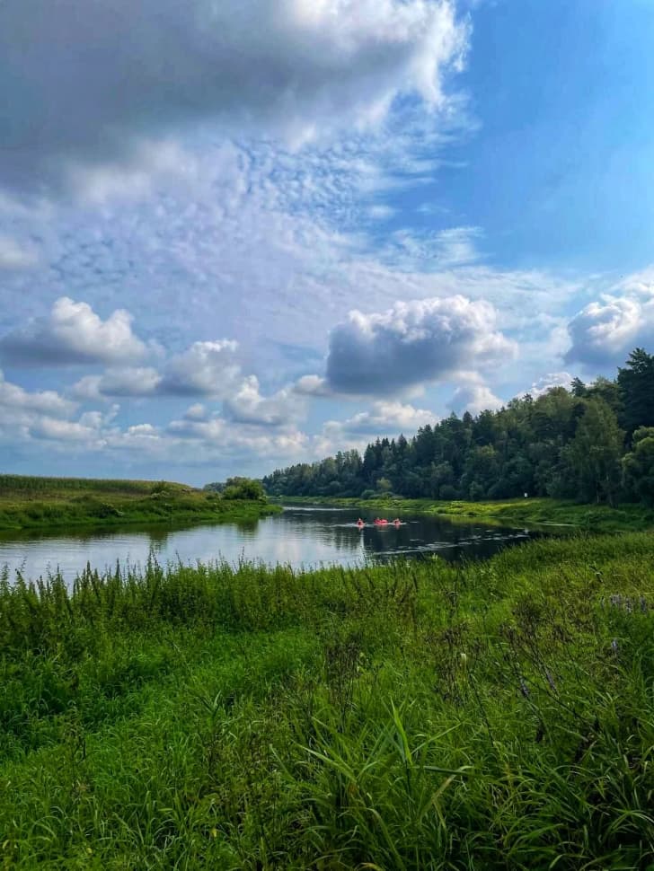 Звенигородский заказник и карьер Сима. Однодневный поход в Подмосковье - фото 6