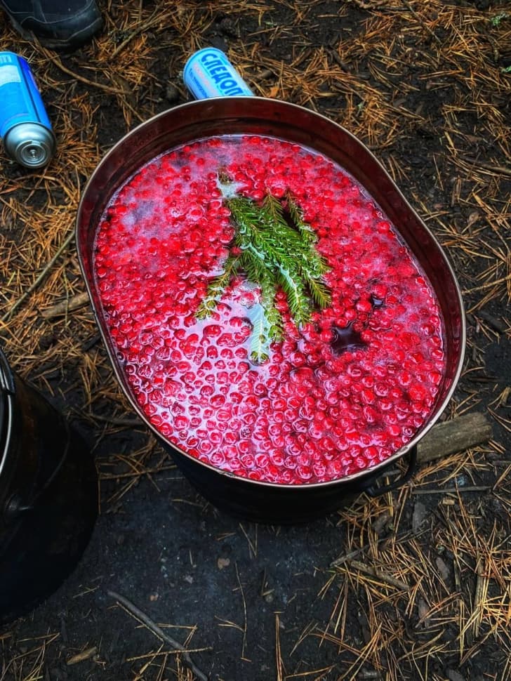 Звенигородский заказник и карьер Сима. Однодневный поход в Подмосковье - фото 7