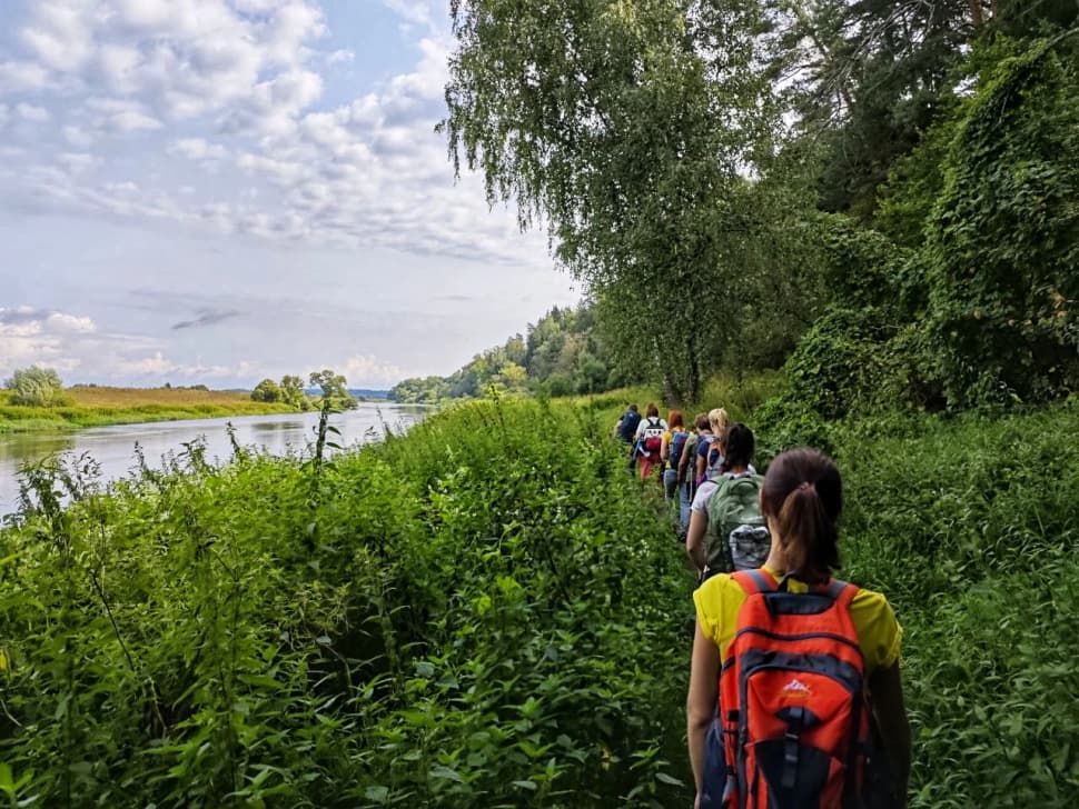 Звенигородский заказник и карьер Сима. Однодневный поход в Подмосковье - фото 8
