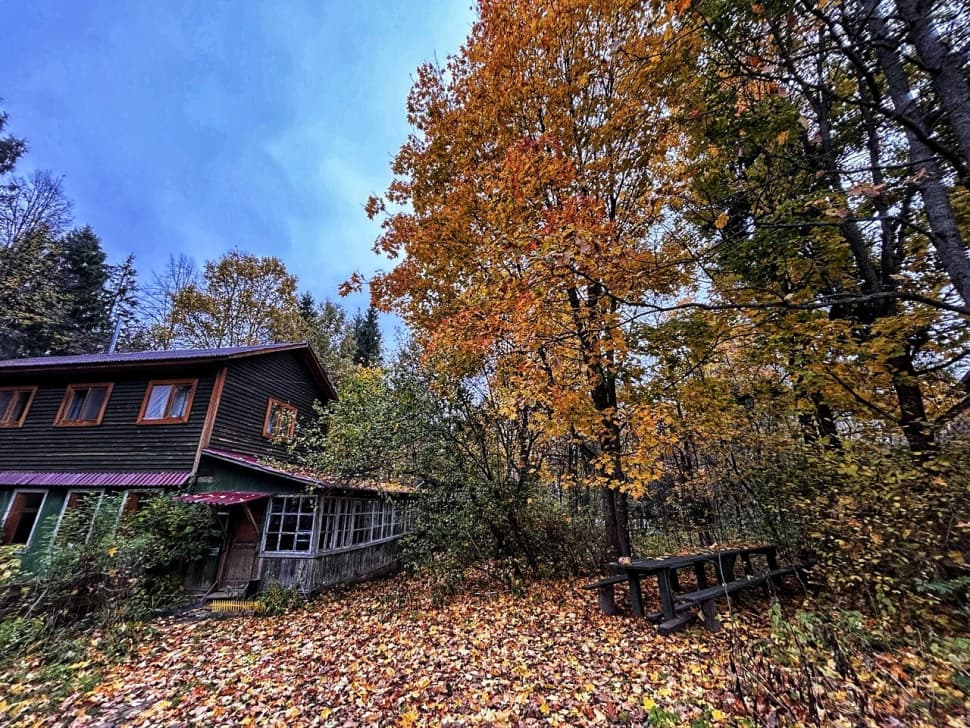 Звенигородский заказник и карьер Сима. Однодневный поход в Подмосковье - фото 13