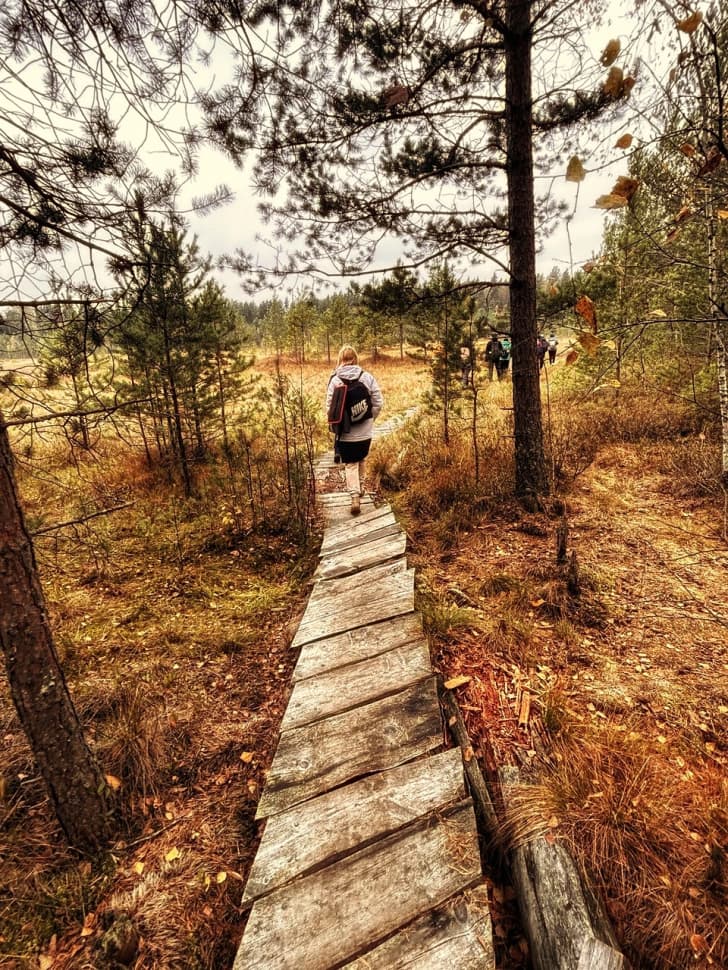 Звенигородский заказник и карьер Сима. Однодневный поход в Подмосковье - фото 18