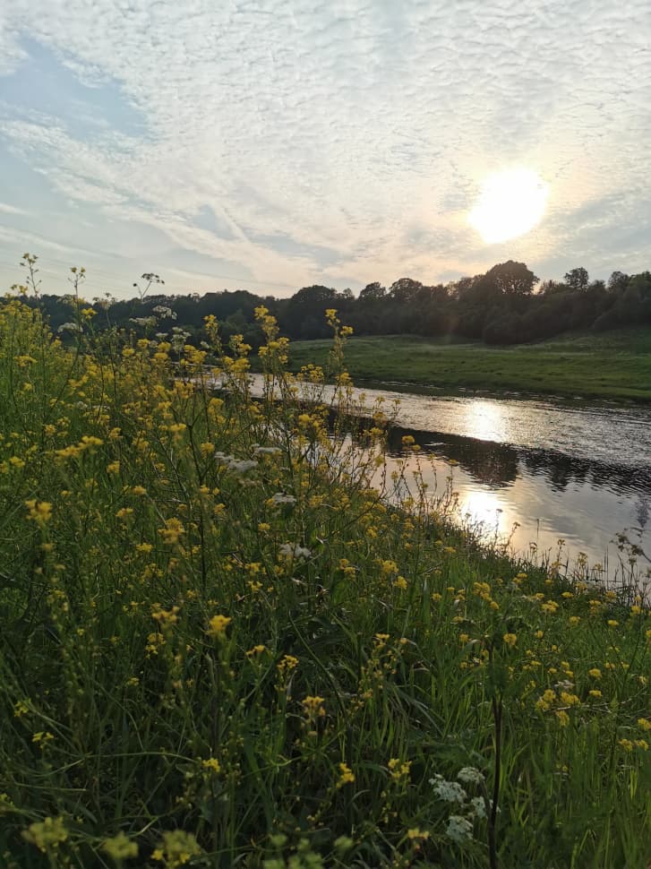 Звенигородский заказник и карьер Сима. Однодневный поход в Подмосковье - фото 19
