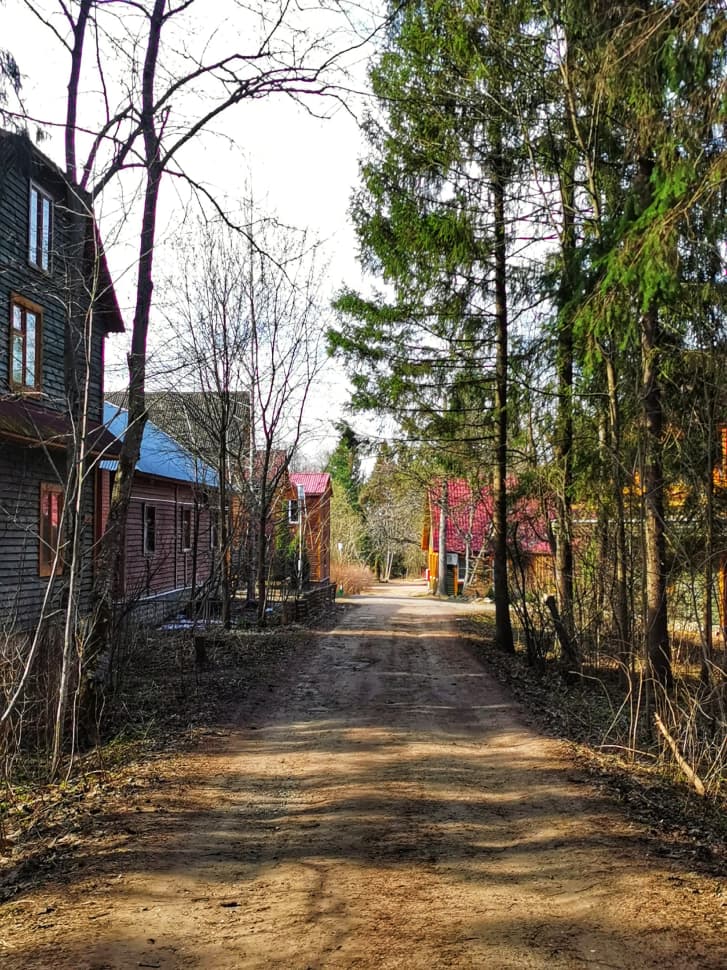 Звенигородский заказник и карьер Сима. Однодневный поход в Подмосковье - фото 21