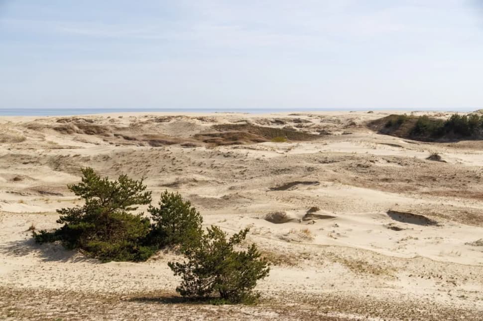 БАЛТИЙСКИЙ ЭКСПРЕСС НА 6 ДНЕЙ - фото 16