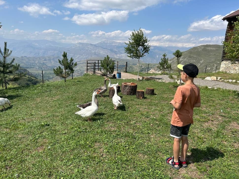 Экспресс-тур по Кавказу. 4 республики и 1001 впечатление! - фото 7