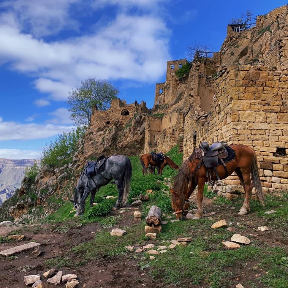 Экспресс-тур по Кавказу. 4 республики и 1001 впечатление! - фото 27