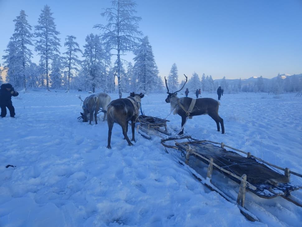 Путешествие на Полюс Холода (Зимний Оймякон) - фото 12