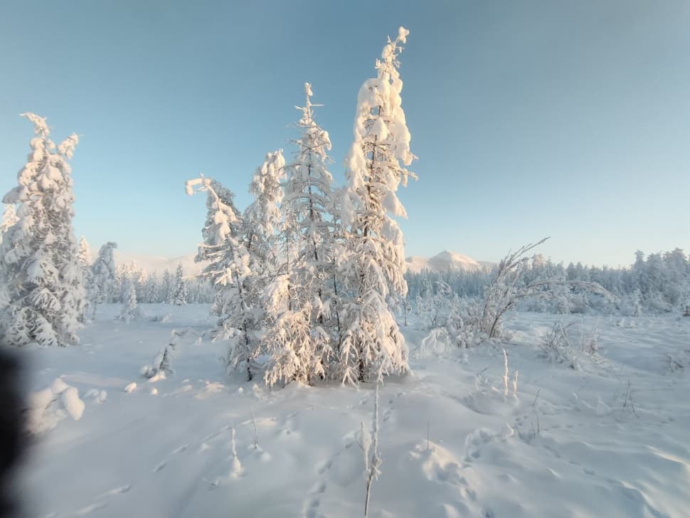 Путешествие на Полюс Холода (Зимний Оймякон) - фото 4