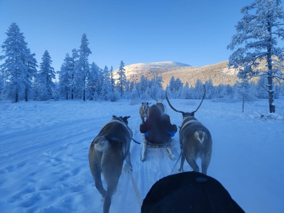 Путешествие на Полюс Холода (Зимний Оймякон) - фото 5