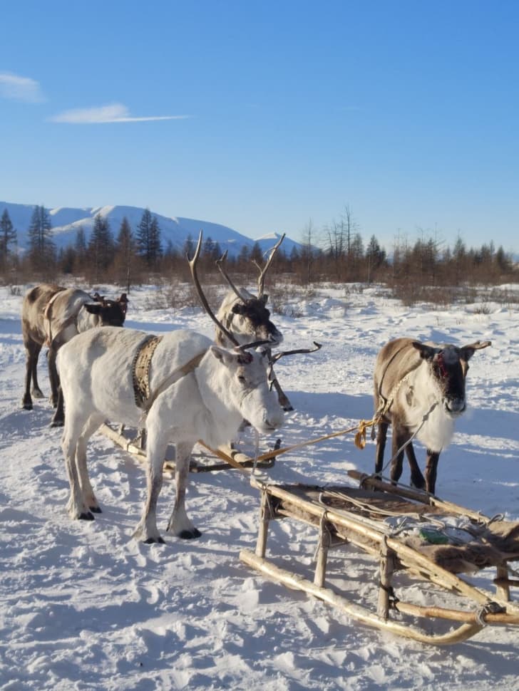 Путешествие на Полюс Холода (Зимний Оймякон) - фото 23