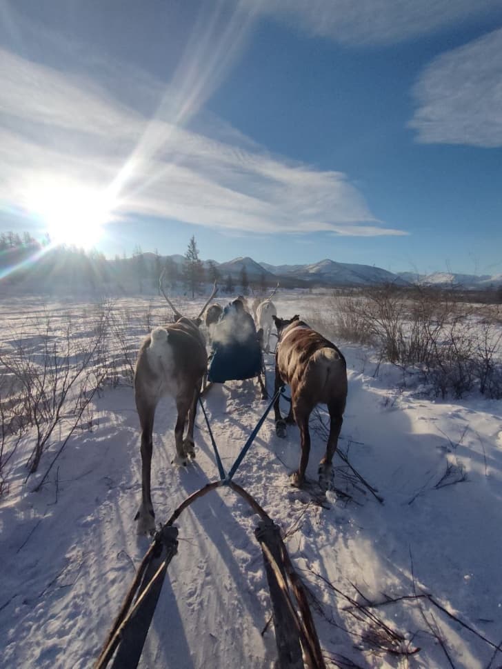 Путешествие на Полюс Холода (Зимний Оймякон) - фото 24