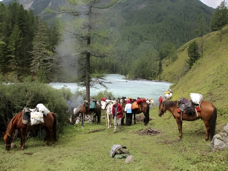 «6 дней в горной тайге» - фото 5