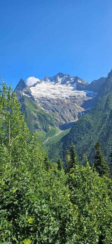 Домбай - Кавказские Альпы - фото 4