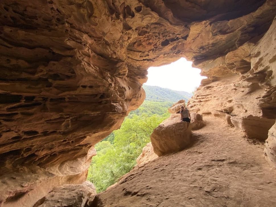 Домбай - Кавказские Альпы - фото 5