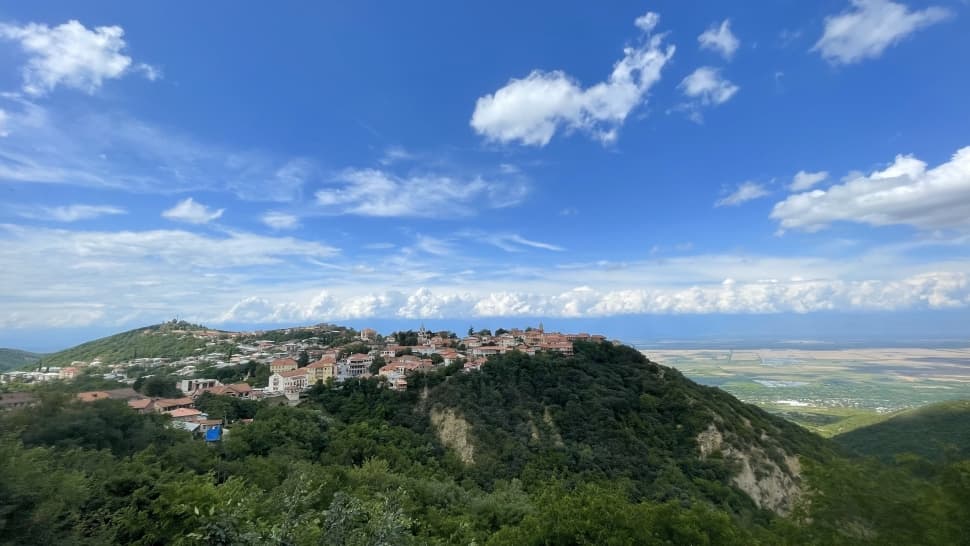 Грузия: Тбилиси, Батуми и Кахетия - фото 16