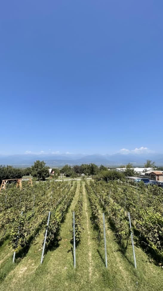 Грузия: Тбилиси, Батуми и Кахетия - фото 10