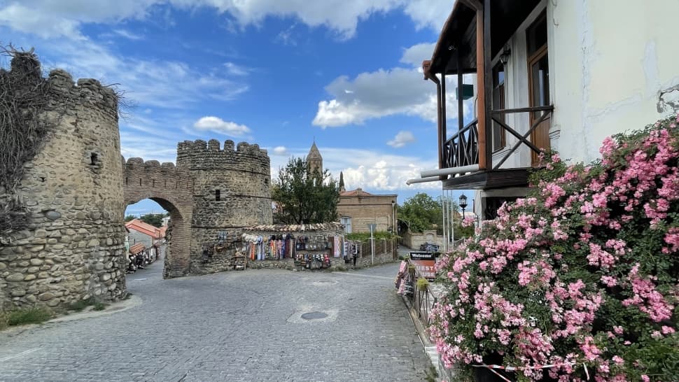 Грузия: Тбилиси, Батуми и Кахетия - фото 9