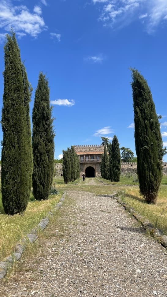 Грузия: Тбилиси, Батуми и Кахетия - фото 8