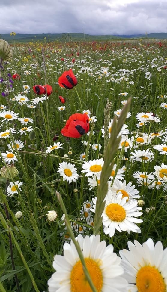 Нагорный Дагестан за 4 дня - фото 3