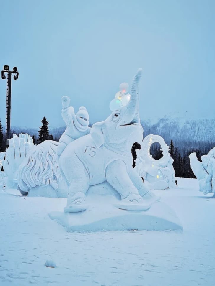 Сияние, Териберка и киты                        - фото 3