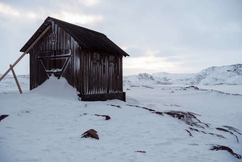 Сияние, Териберка и киты                        - фото 5