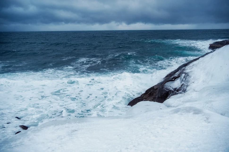 Сияние, Териберка и киты                        - фото 12