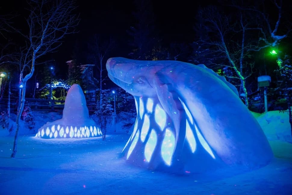 Сияние, Териберка и киты                        - фото 14