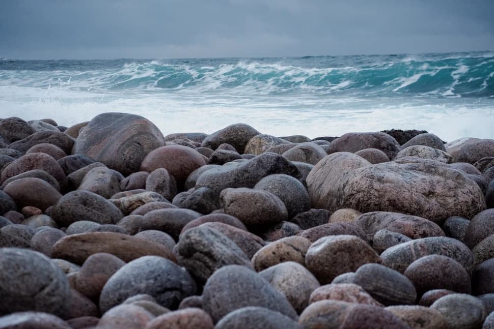 Сияние, Териберка и киты                        - фото 19