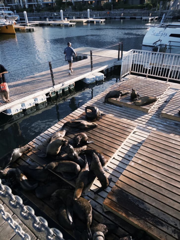 Авторский тур в Юар, Кейптаун - фото 4