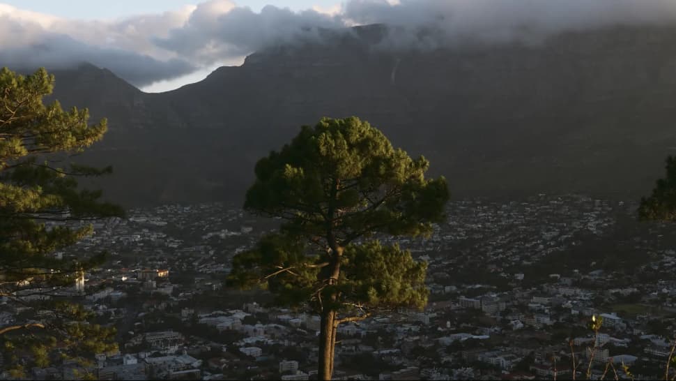 Авторский тур в Юар, Кейптаун - фото 6