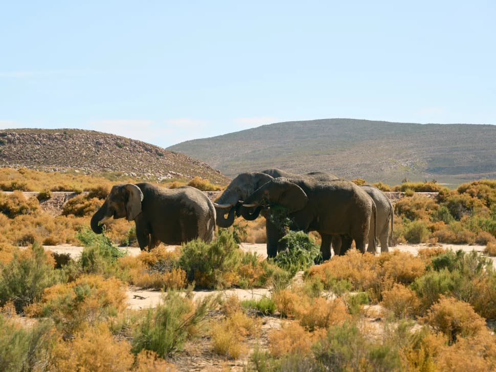 Авторский тур в Юар, Кейптаун - фото 18