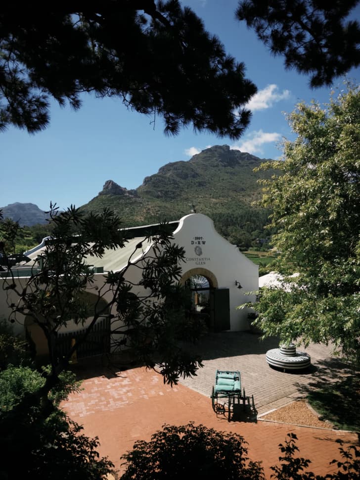 Авторский тур в Юар, Кейптаун - фото 21