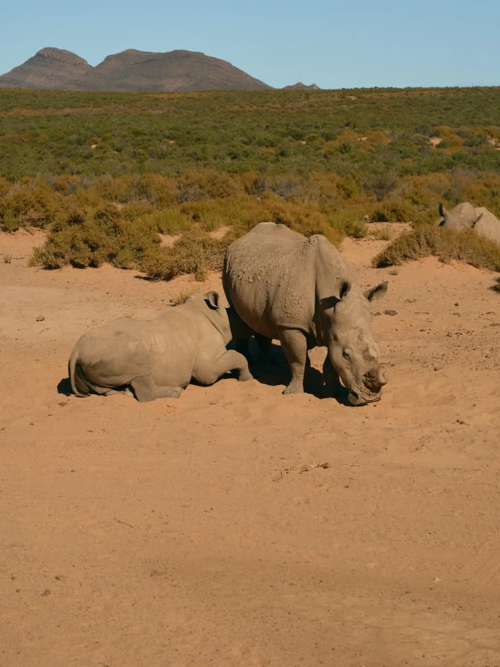 Авторский тур в Юар, Кейптаун - фото 22
