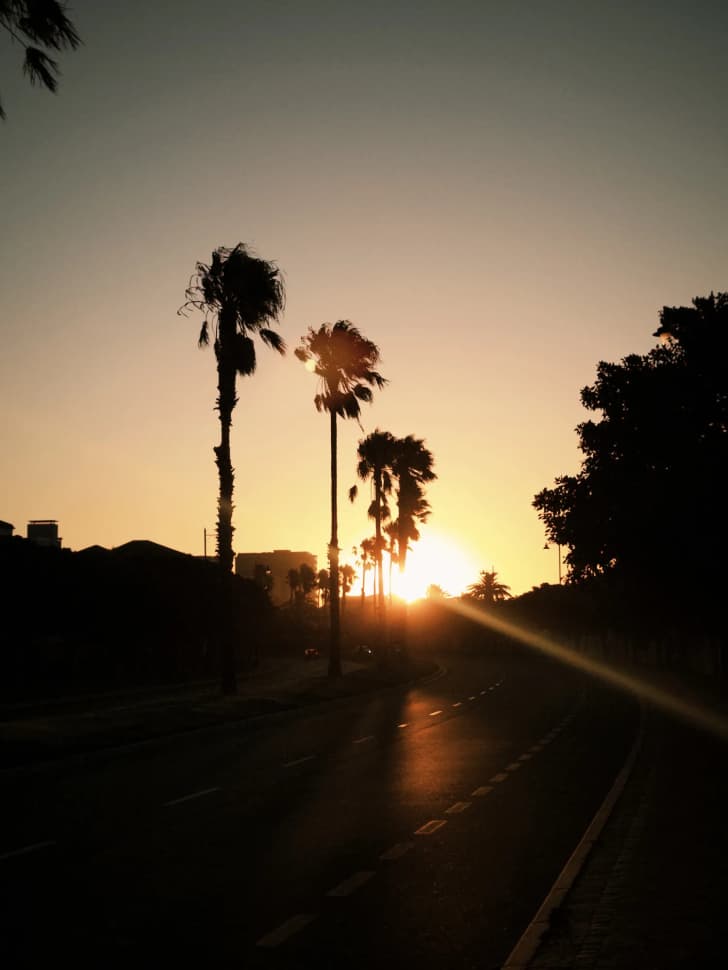 Авторский тур в Юар, Кейптаун - фото 29