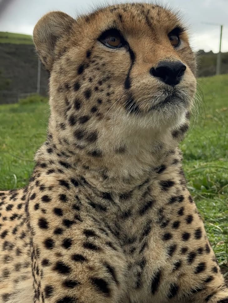 Авторский тур в Юар, Кейптаун - фото 35