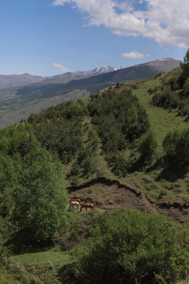 Дагестан. Путешествие в горы - Комфортно, красиво и со вкусом. Все включено на 6 дней!! - фото 39
