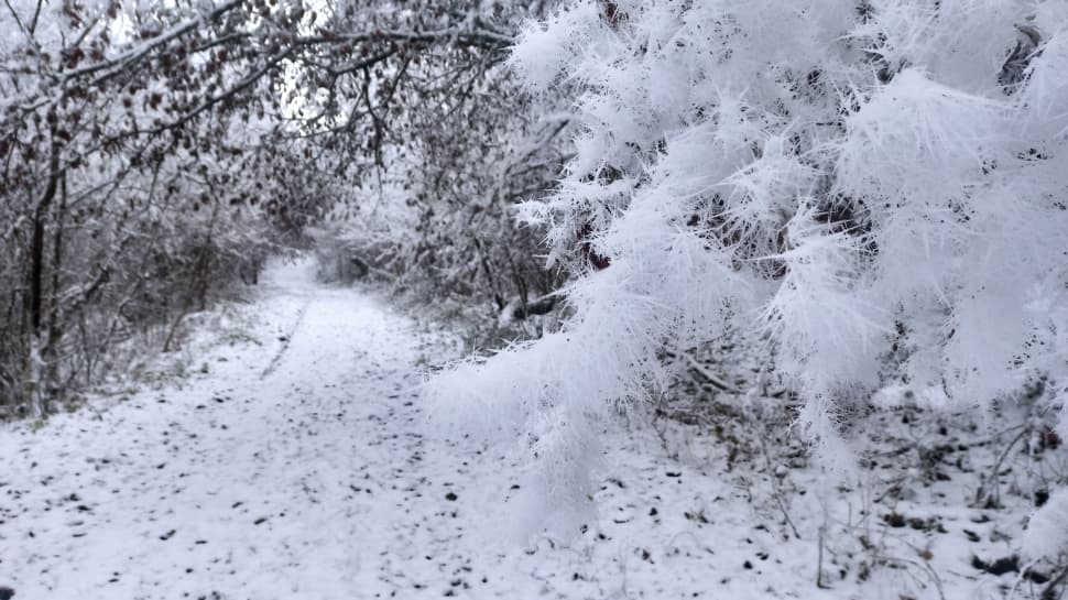 Три ущелья Кабардино-Балкарии и величественный Эльбрус. - фото 14
