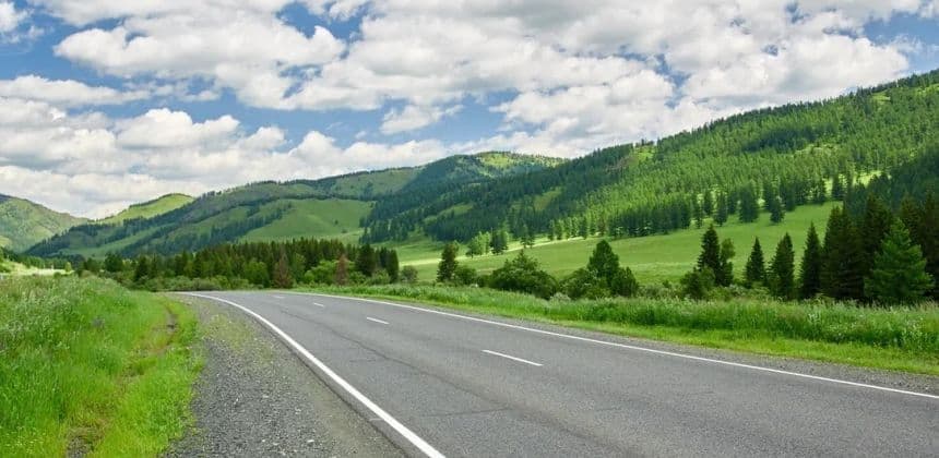 На Семинский перевал за энергией кедра и алтайскими сувенирами (экскурсия с с. Манжерок) - фото 5