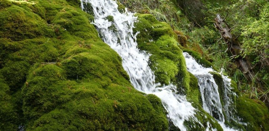 Джип-кругосветка Камайское кольцо (экскурсия для баз в районе с. Манжерок)