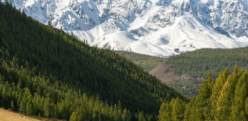 Марсовы горы (экскурсия для баз в районе с. Манжерок) - фото 2