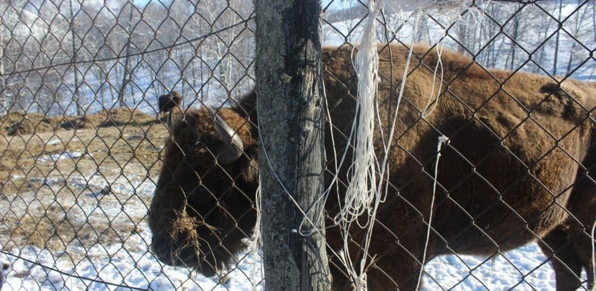 Описание экскурсии