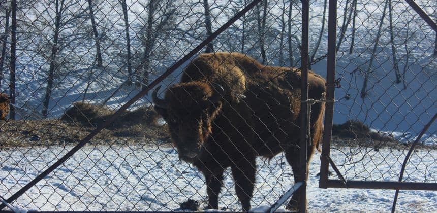 Описание экскурсии