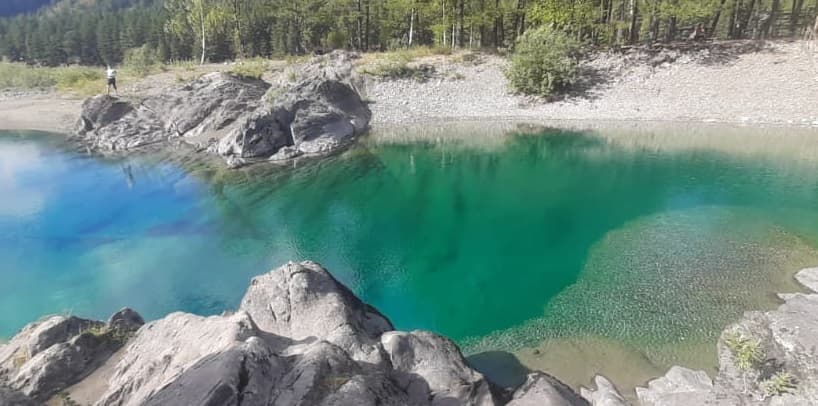 Драгоценная ветвь Алтая - фото 4