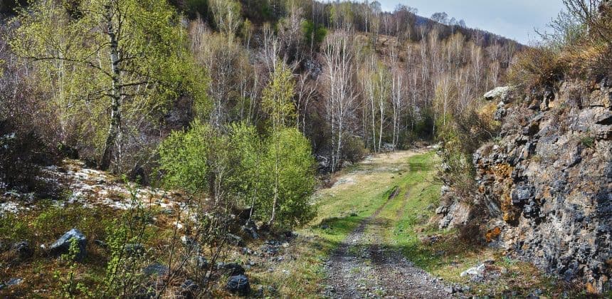 Дорогами скифов ( экскурсия с баз от с. Барангол до с. Чемал ) - фото 3