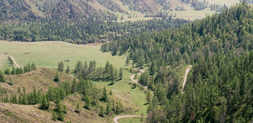 Перевалы Чуйского тракта - за товарами Алтая и Монголии (экскурсия для баз в районе с. Манжерок) - фото 2