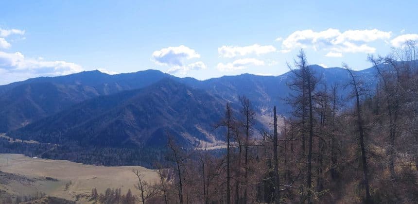 Перевалы Чуйского тракта - за товарами Алтая и Монголии (экскурсия для баз в районе с. Манжерок) - фото 3