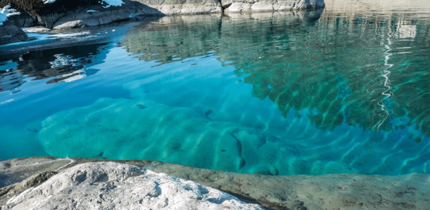 Голубые озера на Алтае (экскурсии с баз ОЭЗ Бирюзовая Катунь) - фото 3