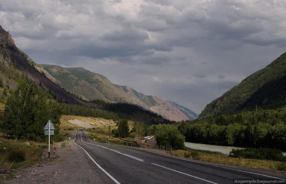 На Семинский перевал за энергией кедра и алтайскими сувенирами (экскурсия с с. Манжерок)