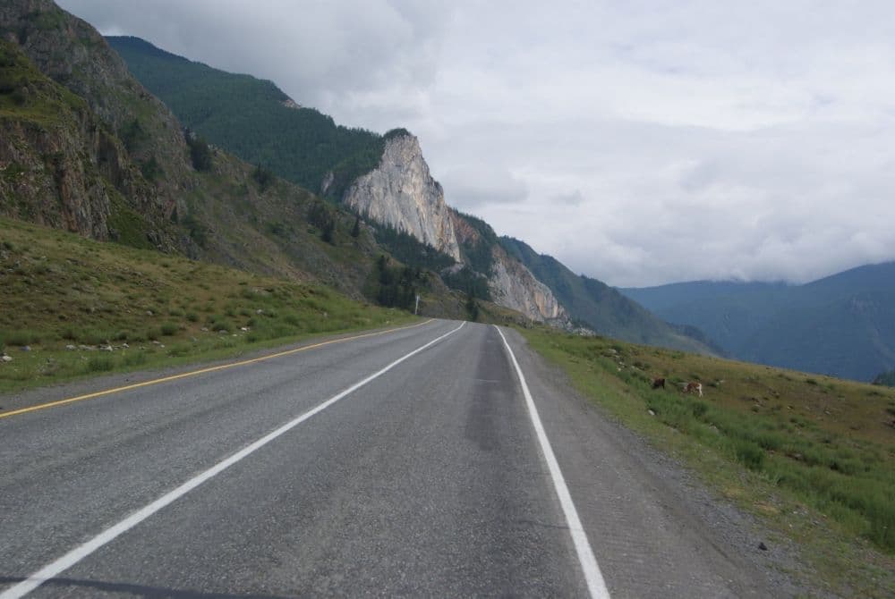 Петроглифы урочища Калбак-Таш (экскурсия для баз в районе с. Манжерок) - фото 1