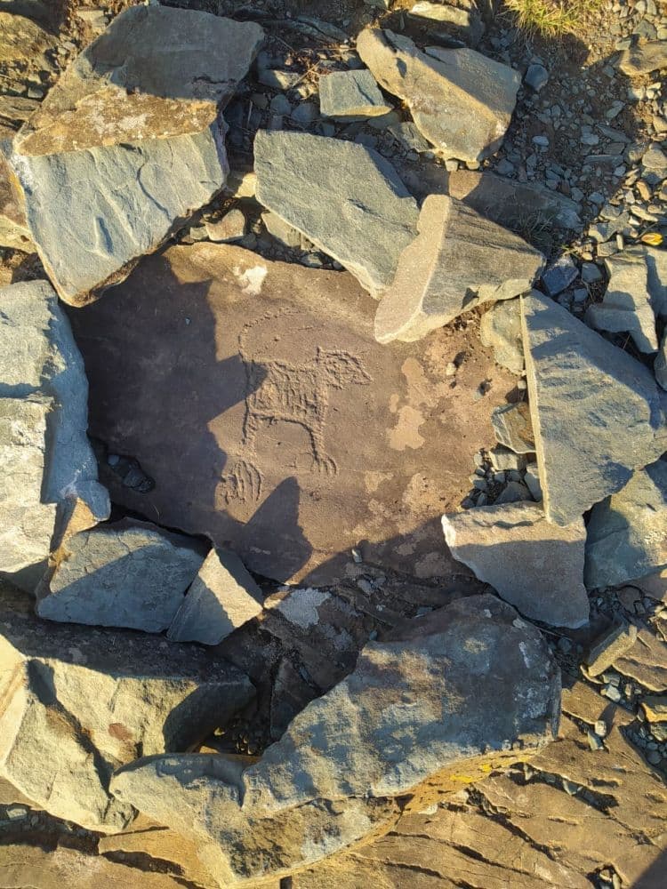 Петроглифы урочища Калбак-Таш (экскурсия для баз в районе с. Манжерок) - фото 2